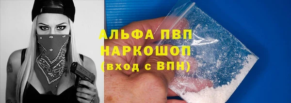 эйфоретик Бородино