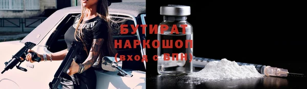 гидра Богданович