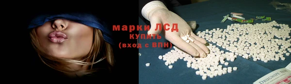 эйфоретик Бородино