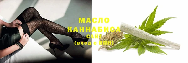 гидра Богданович