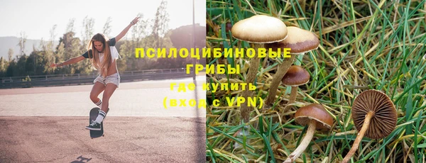 дмт Бронницы