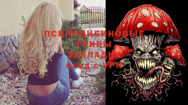 стафф Богородицк