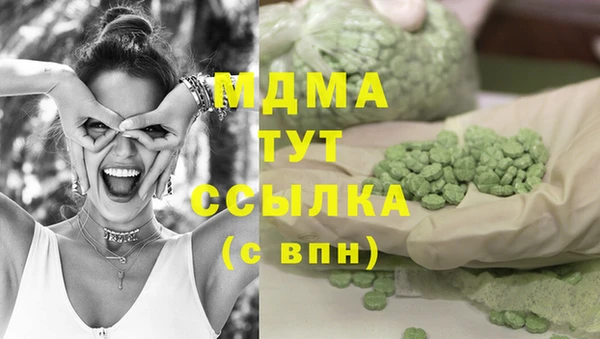 гидра Богданович