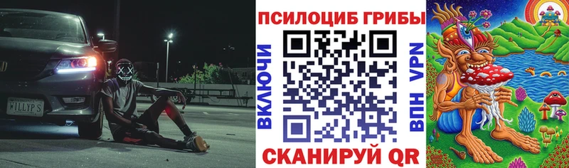 Псилоцибиновые грибы GOLDEN TEACHER  Ворсма 